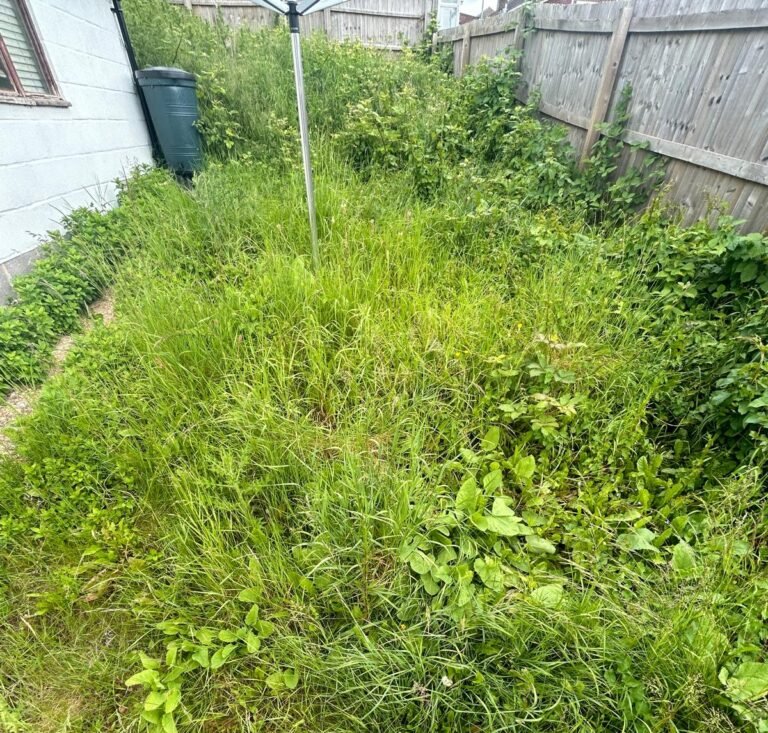 Balmoral Before Photo